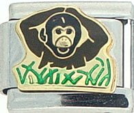 p-27451-43DO80.jpg